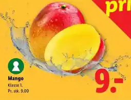 Lidl Mango tilbud