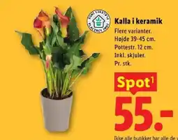 Lidl Kalla i keramik tilbud