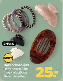 Netto Spot Håraccessories tilbud