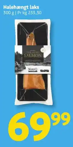 Løvbjerg NordicQ Tail-Hung Salmon tilbud