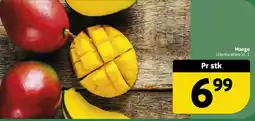 Løvbjerg Mango tilbud