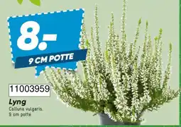 Bilka Lyng tilbud