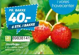 Bilka Jordbær tilbud