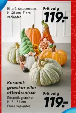 Bilka Keramik græskar eller efterårsnisse tilbud