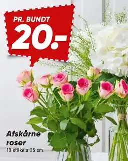 Bilka Afskårne roser tilbud