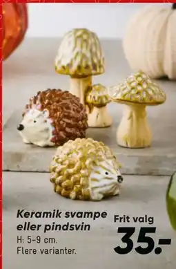 Bilka Keramik svampe eller pindsvin tilbud