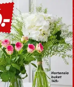 Bilka Hortensia buket tilbud