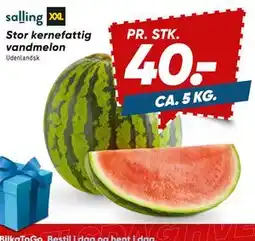 Bilka Stor kernefattig vandmelon tilbud