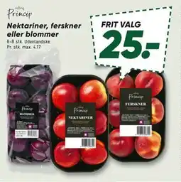 Bilka Nektariner, ferskner eller blommer tilbud