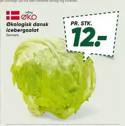 Bilka Økologisk dansk icebergsalat tilbud