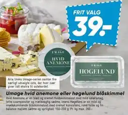 Bilka Umage hvid anemone eller høgelund blåskimmel tilbud