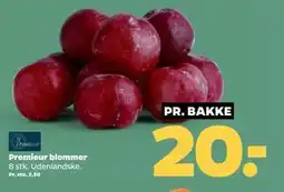 Netto Premieur blommer tilbud