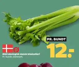 Netto ØGO økologisk dansk bladselleri tilbud