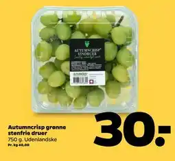 Netto Autumncrisp grønne stenfrie druer tilbud