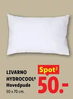 Lidl LIVARNO HYDROCOOL Hovedpude tilbud