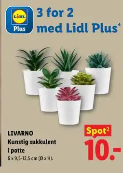 Lidl LIVARNO Kunstig sukkulent i potte tilbud