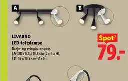 Lidl LIVARNO LED-loftslampe tilbud