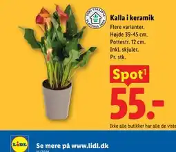 Lidl Kalla i keramik tilbud