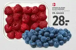 MENY DANSKE BLÅBÆR ELLER HINDBÆR tilbud