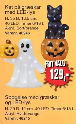 Harald Nyborg Kat på græskar med LED-lys tilbud