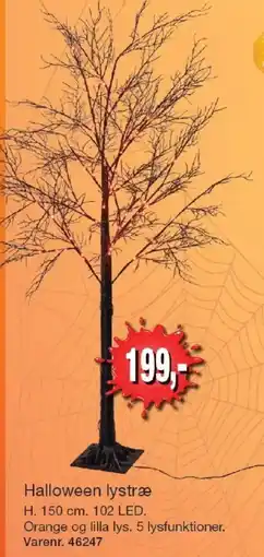 Harald Nyborg Halloween lystræ tilbud