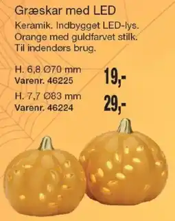 Harald Nyborg Græskar med LED tilbud