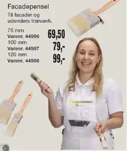 Harald Nyborg Facadepensel tilbud