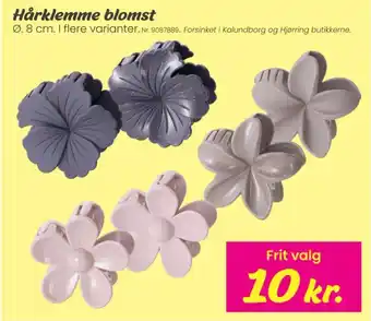 Hårklemme blomst