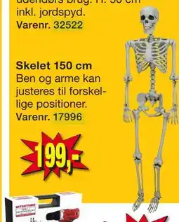 Harald Nyborg Skelet 150 cm tilbud