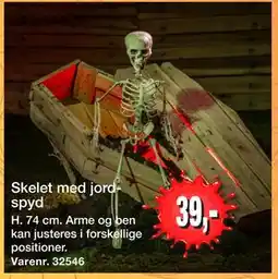 Harald Nyborg Skelet med jordspyd tilbud