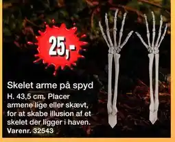 Harald Nyborg Skelet arme på spyd tilbud