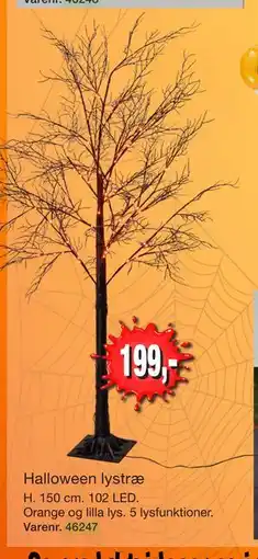Harald Nyborg Halloween lystræ tilbud