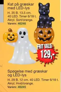 Harald Nyborg Kat på græskar med LED-lys tilbud