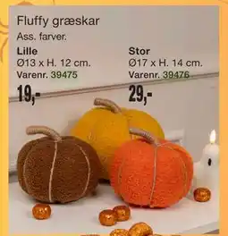 Harald Nyborg Fluffy græskar tilbud