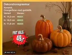 Harald Nyborg Dekorationsgræskar tilbud