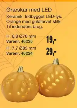 Harald Nyborg Græskar med LED tilbud