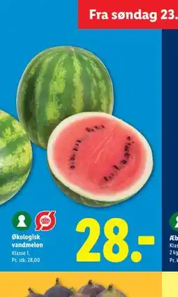 Lidl Økologisk vandmelon tilbud