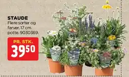 jem & fix Staude tilbud