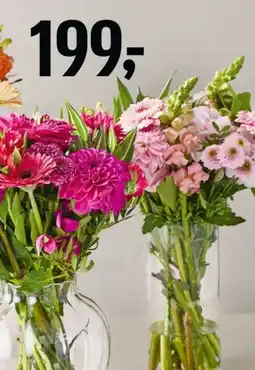 Føtex Mixed bouquet in vase tilbud