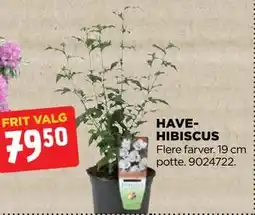 jem & fix HAVEHIBISCUS tilbud