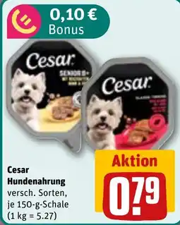 REWE DE Cesar hundennahrung tilbud