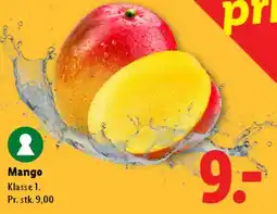Lidl Mango tilbud
