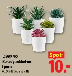 Lidl Kunstig sukkulent i potte tilbud