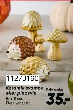 Wupti Keramik svampe eller pindsvin tilbud