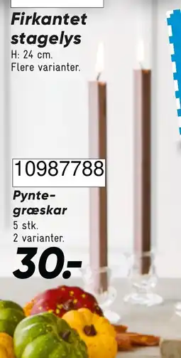 Wupti Pynte-græskar tilbud