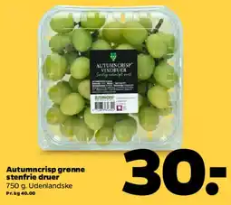 Netto Autumncrisp grønne stenfrie druer tilbud