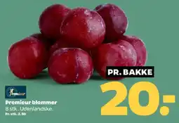Netto Premieur blommer tilbud