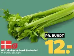 Netto Økologisk dansk bladselleri tilbud