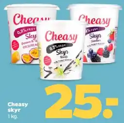 Netto Cheasy skyr tilbud