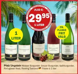 Købmandsgården Pfalz Ungstein Weisser Burgunder, Grauer Burgunder, Spätburgunder, Portugieser Rosé, Riesling Tyskland tilbud